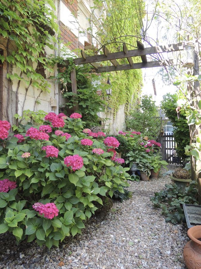 Maison D'Hotes "Les Volets Verts" Et Sa Brocante Ecueille Kültér fotó
